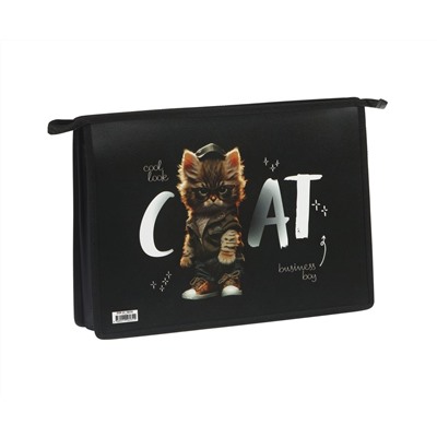 Папка для труда 2 отделения, А4, ArtSpace "Cat life", пластик, на молнии