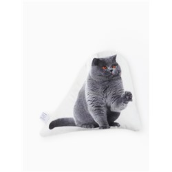 Подушка «Этель» British cat, 40×33 см, 100% п/э, велюр