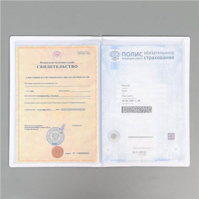 Папка для семейных документов Docs, 8 файлов А4