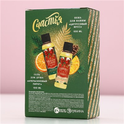 Новогодний подарочный набор косметики «Чудес и подарков»: гель для душа и пена для ванны, 2×100 мл, Чистое счастье