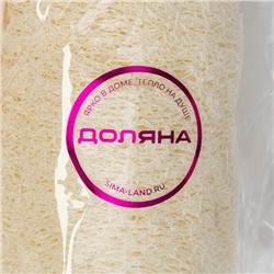 Люффа - мочалка для тела натуральная Доляна, 8×6×6 см, бежевая