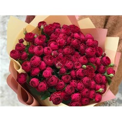 Роза спрей Maroon "Марун"