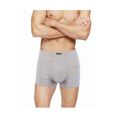 Трусы мужские GS7752 Gentlemen шорты