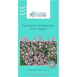 Семена Армерия приморская блестящая 0,07гр, арт.: 3093