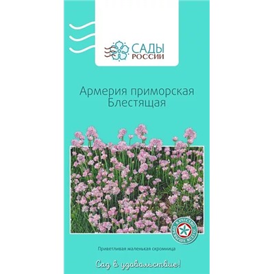 Семена Армерия приморская блестящая 0,07гр, арт.: 3093