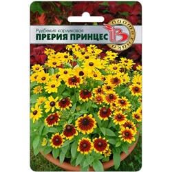 Рудбекия карликовая Прерия Принцес