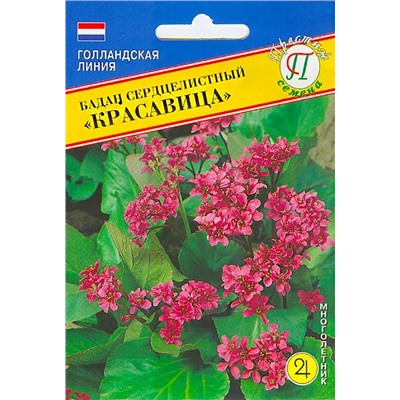 Семена Семена Бадан сердцелистный Красавица (РС-1), арт.: 4645
