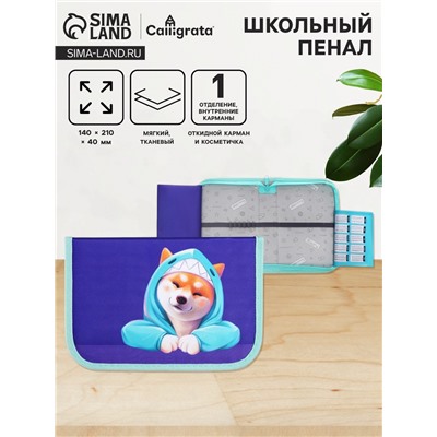 Пенал 1 секция 140×210×40 мм, откидной карман, косметичка, тканевый, Calligrata TOP Content «Сиба»