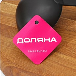 Половник Доляна «Антрацитовый блеск», 31 см