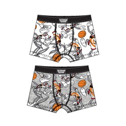 Трусы-боксеры для мальчика, 2 шт в комплекте