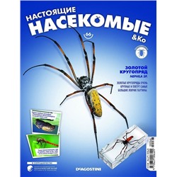 Журнал №66 "Настоящие насекомые" С ВЛОЖЕНИЕМ! Золотой кругопряд