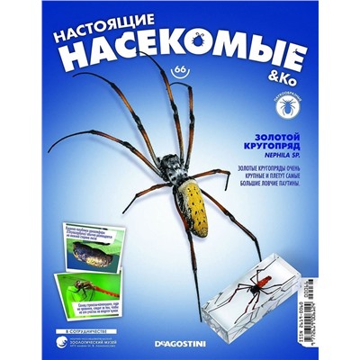 Журнал №66 "Настоящие насекомые" С ВЛОЖЕНИЕМ! Золотой кругопряд