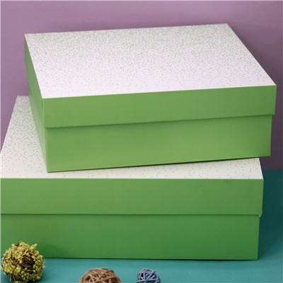 Набор подарочных коробок 2 в 1 «Sequins», 28*25*10-32*27.5*11.5