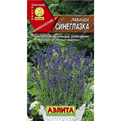 Лаванда Синеглазка