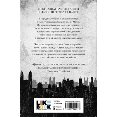 Уценка. Кира Лихт. Золото и тень