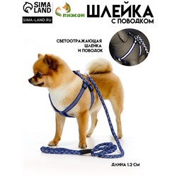 Комплект "Плетенка", флуоресцентный, поводок 115 х 1 см, ОГ 32-48 х 1,5 см, синий