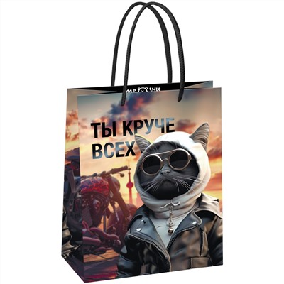 Пакет подарочный 18*23*10см MESHU "Cool guy" MS_61573/12/Китай