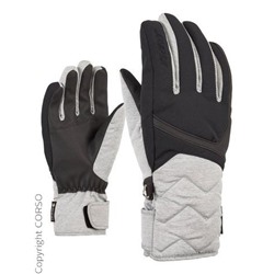 Skihandschuhe