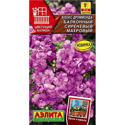 1627 Флокс друммонда Балконный сиреневый махровый 5шт