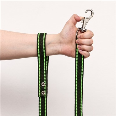 Поводок брезентовый, 2.7 м × 2.5 см, хаки/зелёный