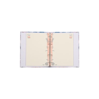 Тетрадь на кольцах 80л кл CARRARA, со смен блоком, тв обл, бл 60 г/м2