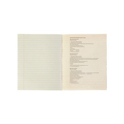 Тетрадь предметная 48 листов в клетку Calligrata, «Чёрное-белое. Русский язык», обложка мелованная бумага, серые листы