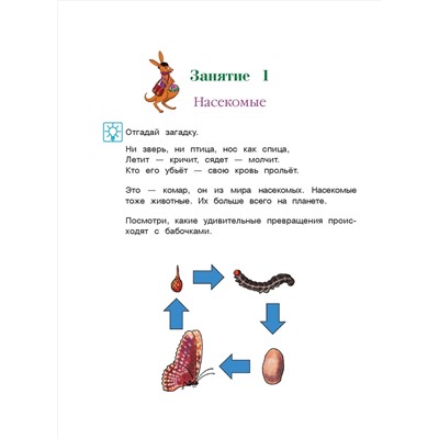 Уценка. В. А. Егупова. Изучаю мир вокруг: для детей 5-6 лет. Ч. 2