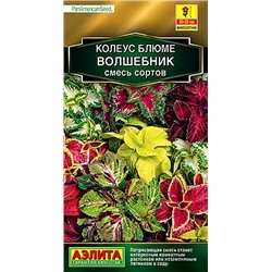 Колеус блюме Волшебник, смесь сортов, арт.: 71332