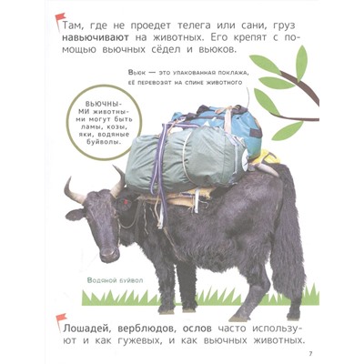 Уценка. Техника. Энциклопедия для первого чтения с крупными буквами