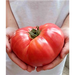 Семена Томат Громадин F1, арт.: 74365