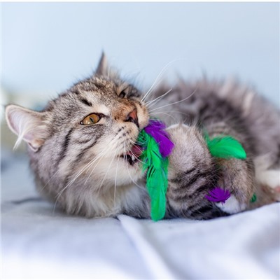 Игрушка Petstages Dental "Капуста" для кошек, с кошачьей мятой, 20 см