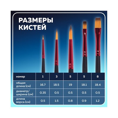 Кисти BRAUBERG PREMIUM, набор 5шт. (синтетика, круглая №1,3,5, плоская №5,8), блистер, 201024