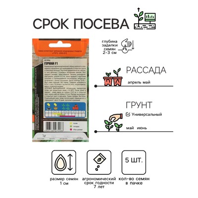 Семена огурца «Герман», F1, 5 шт., «Тимирязевский питомник»