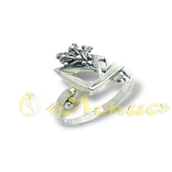 0396К   Сафари