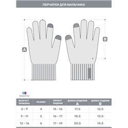Перчатки для мальчика NIKASTYLE NS 15з17124 Черный