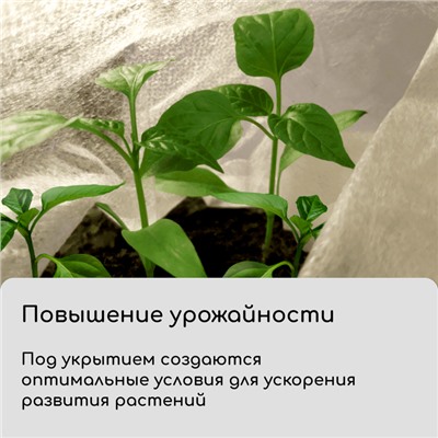 Материал укрывной, 10×2.1 м, плотность 60 г/м², спанбонд с УФ-стабилизатором, белый, Greengo, Эконом 30%