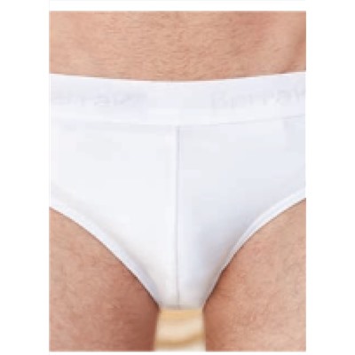 Мужские трусы Berrak