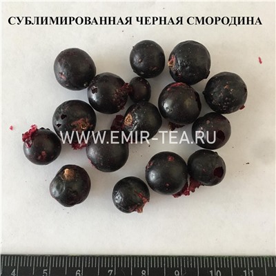 Сублимированная черная смородина (код 0864)