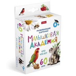 Развивающие карточки 60 шт. "Малышковая Академия - Кто что ест" (089527) 32978 Хатбер