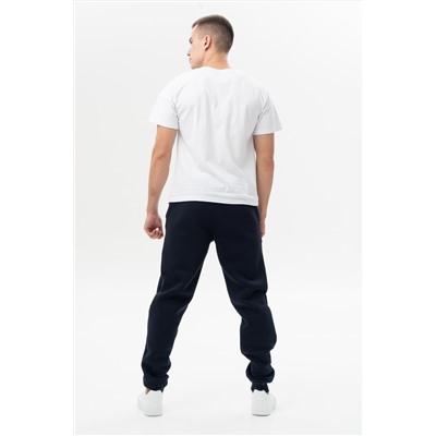 Брюки мужские 22-420M17-WB т.синий1