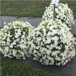 Набор супертуний №2