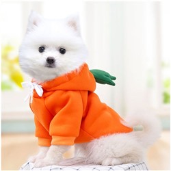 Кофта-толстовка для собаки "Wonderful style-Морковка" с капюшоном, размер 2XL (62*45*26см) Ultramarine