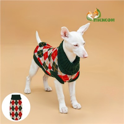 Свитер для животных «Шахматы», XL (ДС 34, ОШ 34, ОГ 32-51 см)
