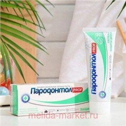Пародонтол PROF Зубная паста Система защиты десен в тубе в футляре 93 мл