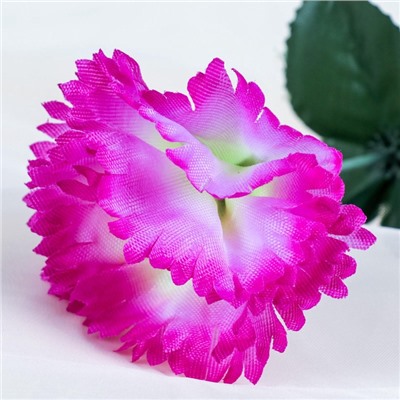 Цветы искусственные «Гвоздика», h=25 см, сиреневые