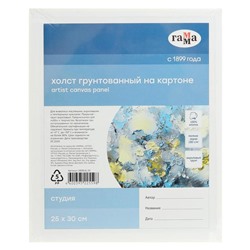 Холст на картоне «Гамма. Студия», хлопок 100%, 25×30 см, акриловый грунт, мелкозернистый