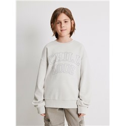 Джемпер детский для мальчиков Horrigan_sw