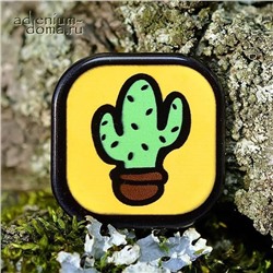 Декор КАКТУС в квадрате (Cactus)