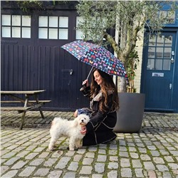 L354-4482 Butterfly (Бабочки) Зонт женский механика Fulton