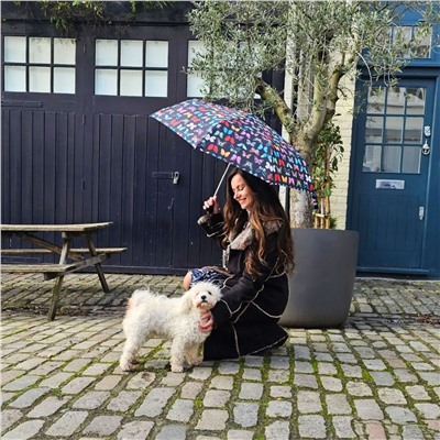 L354-4482 Butterfly (Бабочки) Зонт женский механика Fulton